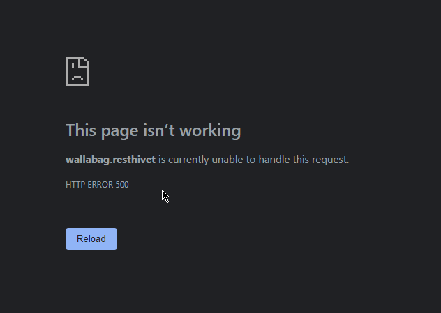 Screenshot of a 500 error when Wallabag failed to start